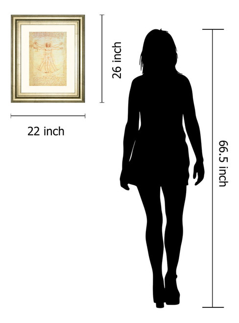 Vituvian Man By Leonardo Da Vinci - Framed Print Wall Art - Gold