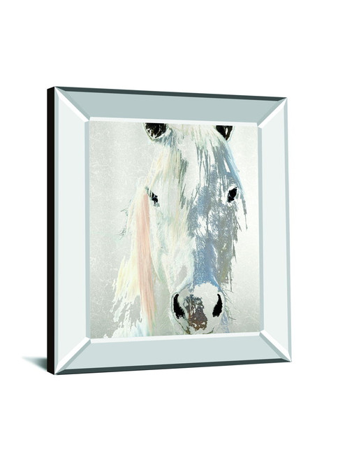 Sage By Marvin Pelkey - Mirror Framed Print Wall Art - Gray