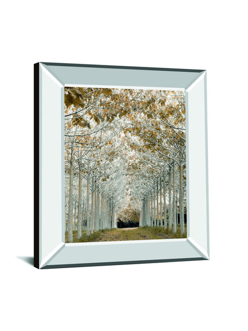 White Gold By Assaf Frank - Mirror Framed Print Wall Art - Pearl Silver