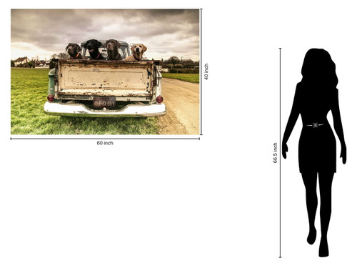 Tempered Glass With Foil - Old Glory - Beige