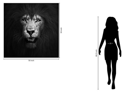 Tempered Glass With Foil - Lion B & W - Black