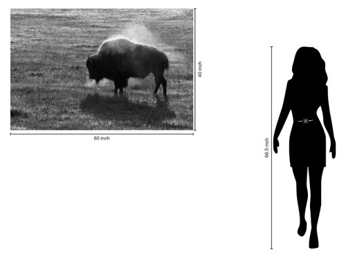 Tempered Glass - B&W Buffalo - Dark Gray