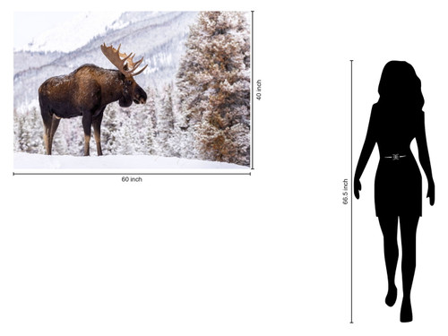 Tempered Glass - Moose In Snow - White