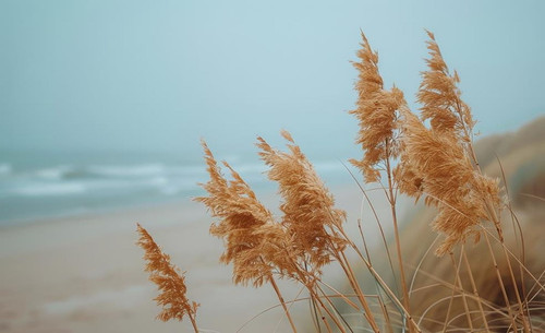 Blowing In The Wind (Framed Small) - Blue