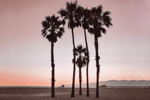 Santa Monica Pinks By Natalie Carpentieri (Framed) - Pink