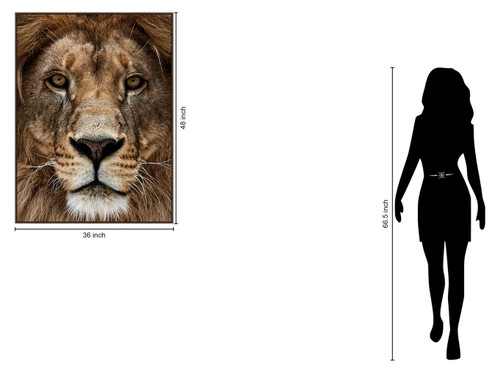 Majestic Gaze - 36" x 48" Framed Wall Art