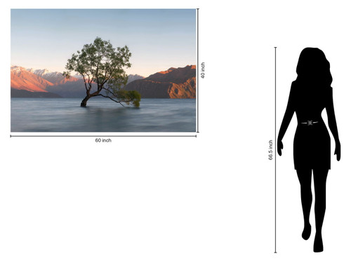 Solitary Dawn Reflection - 40" x 60" Framed Wall Art