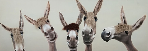 Whimsical Brows - 20" x 60" Framed Wall Art