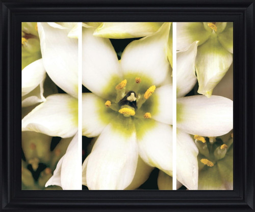 Ivory Petal Radiance - 28" x 34" Framed Wall Art - Beige