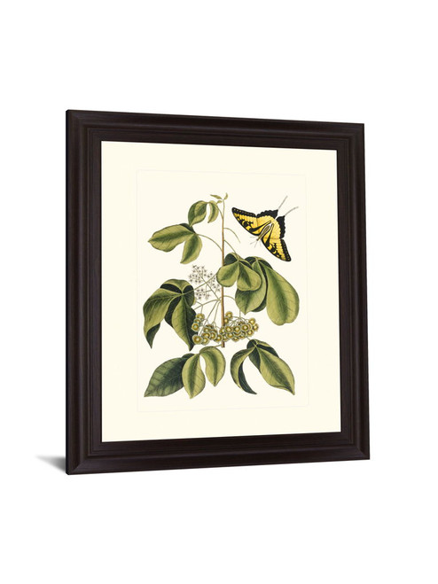 Butterfly Grove - 28" x 34" Framed Wall Art
