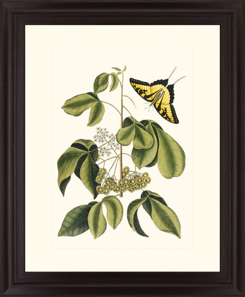 Butterfly Grove - 28" x 34" Framed Wall Art - Green