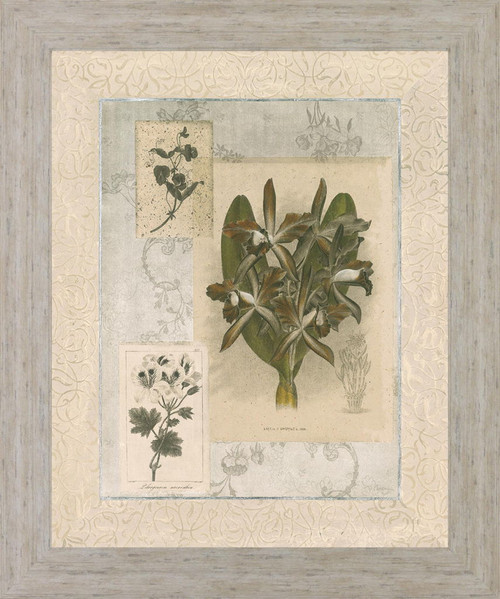 Vintage Botanical - 28" x 34" Framed Wall Art - Beige