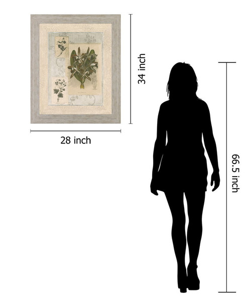 Vintage Botanical - 28" x 34" Framed Wall Art - Beige