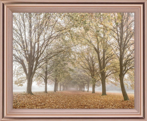 Golden Mist Avenue - 28" x 34" Framed Wall Art - Light Brown
