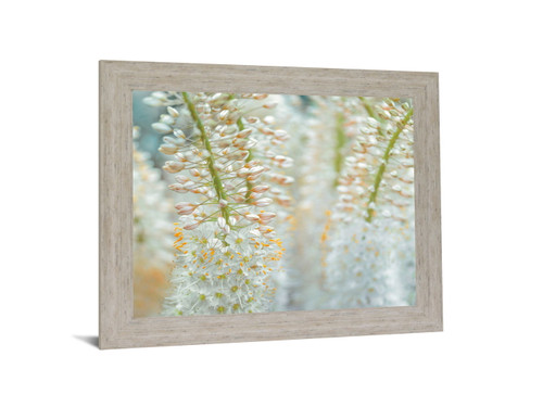 Whispering Blossoms - 28" x 34" Framed Wall Art