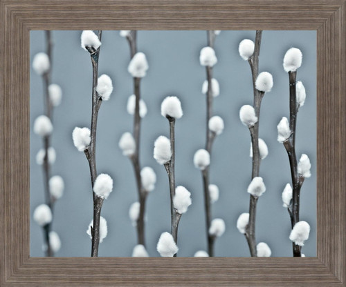 Winter Willow - 28" x 34" Framed Wall Art - Gray