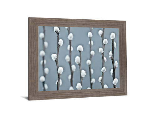 Winter Willow - 28" x 34" Framed Wall Art - Gray