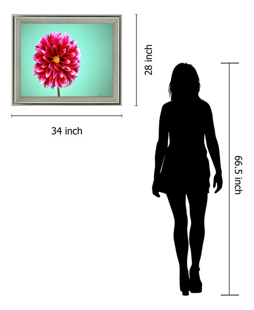 Crimson Radiance - 28" x 34" Framed Wall Art