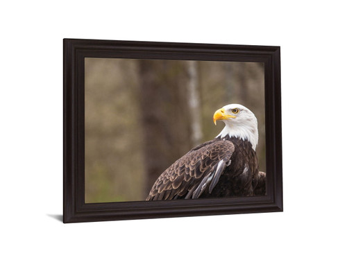 Stoic Watcher - 28" x 34" Framed Wall Art - Dark Brown