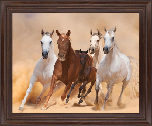 Desert Run - 28" x 34" Framed Wall Art