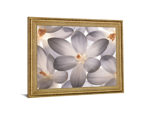Whispering Blossom - 28" x 34" Framed Wall Art