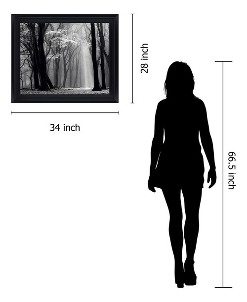 Silent Grove Shadows - 28" x 34" Framed Wall Art