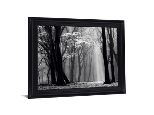Silent Grove Shadows - 28" x 34" Framed Wall Art