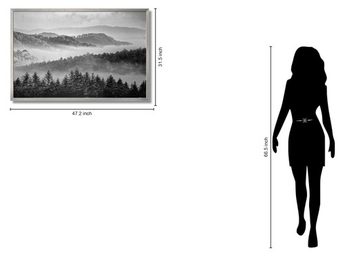 Misty Pine Veil - 32" x 47" Framed Wall Art - Gray