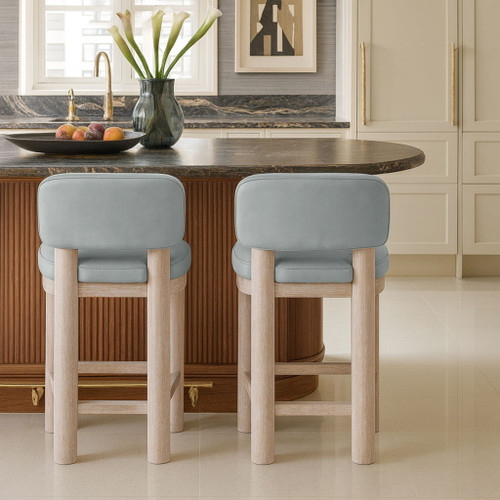 Paloma - Faux Leather Upholstered Counter Stool (Set of 2)