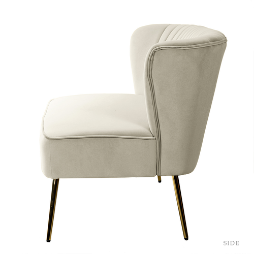 Carmita 47 in. Velvet Tufted 2-Seats Loveseats Sofa with Golden Base