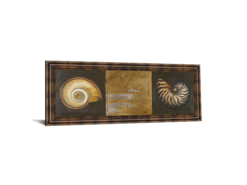 Seashells I By Patricia Pinto - Framed Print Wall Art - Gold