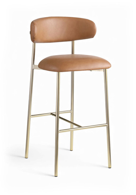 Lupita - Vegan Leather Upholstered Bar Stool With Brushed Gold Frame (Set of 2)