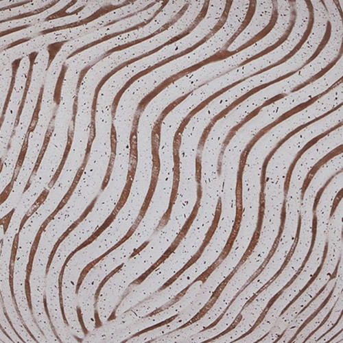 Vien - Terracotta Table Lamp - Distressed White