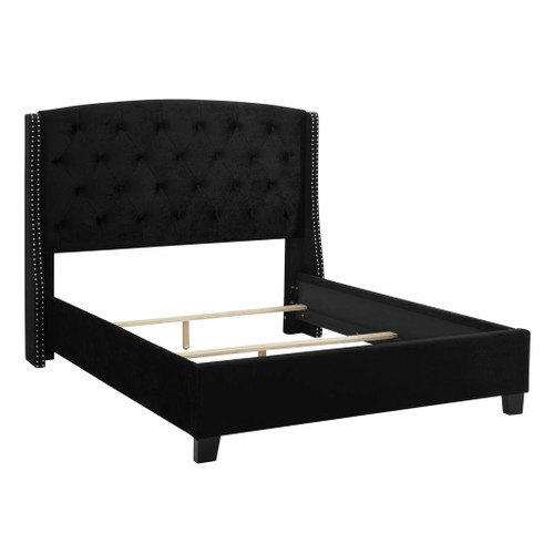 Eva - Queen Bed - Black