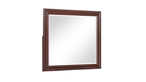 Boston Modern Walnut Square Mirror with Classic Molded Frame and Beveled Glass Edge by Galaxy Home Furnishings