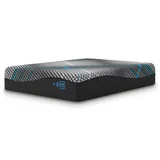 Danny 14" Memory Foam Mattress (Plush)