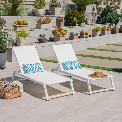 Myers - Modern Chaise Lounge Set With Adjustable Back
