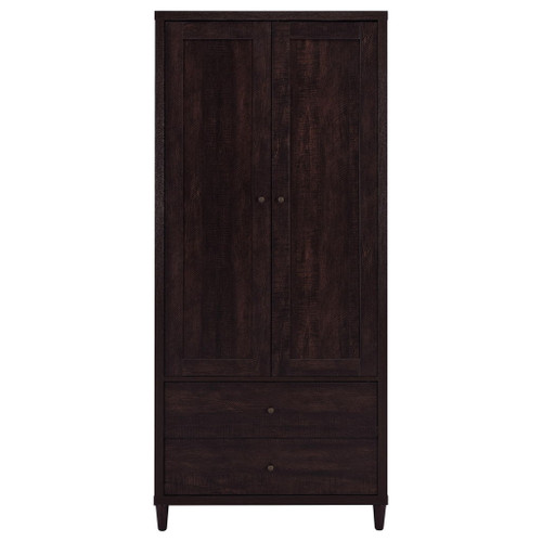 Nestor - 2 Drawer Tall Accent Cabinet With 2 Doors - Rustic