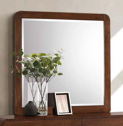 Robyn - Dresser Mirror - Dark Walnut