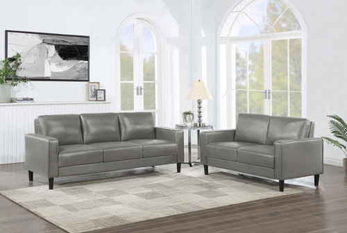 Ruth - 2 Piece Upholstered Track Arm Sofa Set - Gray