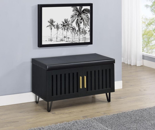 Brixton - 2-Door Padded Entryway Shoe Storage Bench - Black