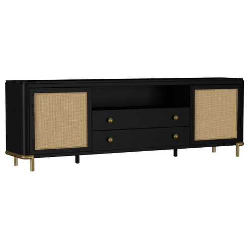 Arini - Rattan Cane 2-Door TV Stand Media Console - Black
