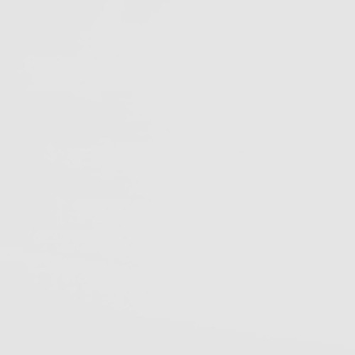 Frankie - Twin Over Twin Bunk Bed With 7" Mattresses - White