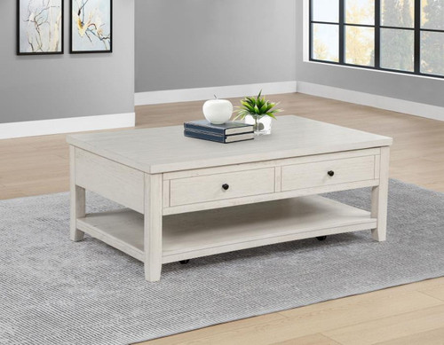 Payne - 48" Mobile Lift Top Coffee Table - Distressed White