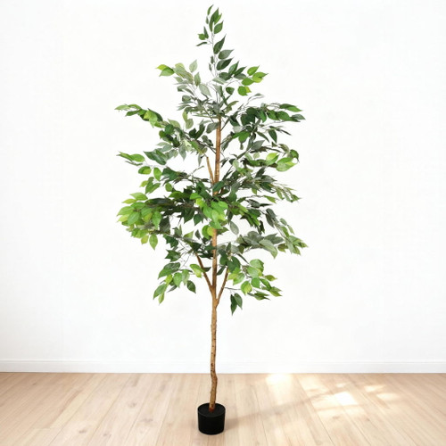 6Ft Artificial Ficus Tree With Natural Trunk In Pot For Indoor Home Office Decor - Green Leaves