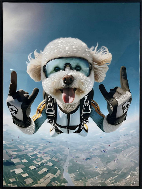 Skybound Pals II Gloss Canvas With Rocks In Frame - Black / Blue