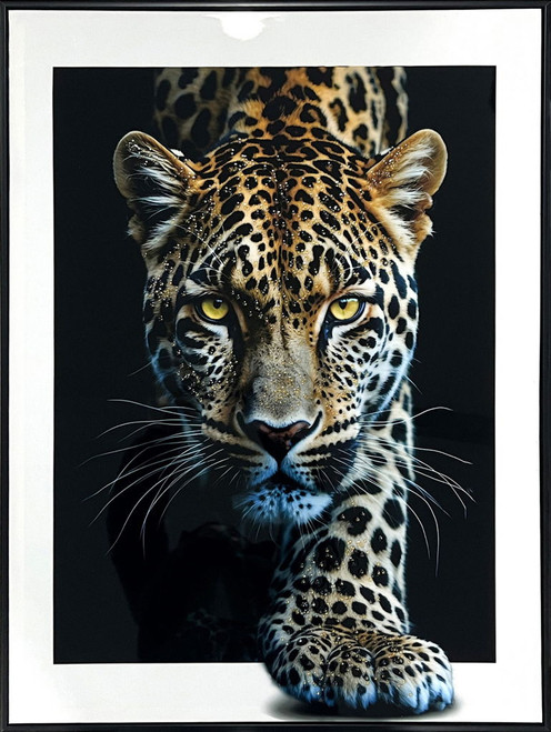 Midnight Stalker II Gloss Canvas With Rocks In Frame - Black / White