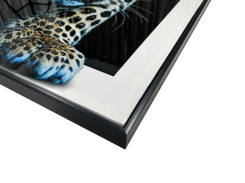 Midnight Stalker II Gloss Canvas With Rocks In Frame - Black / White