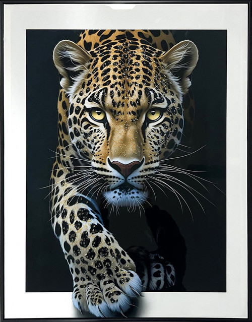 Midnight Stalker I Gloss Canvas With Rocks In Frame - Black / White