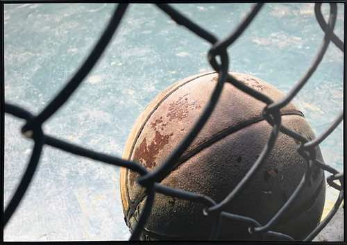 Fence Line Court Canvas In Frame - Black / Blue